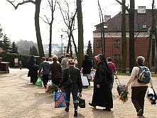 Comunidades “Faustinum” - Actividades - Otros