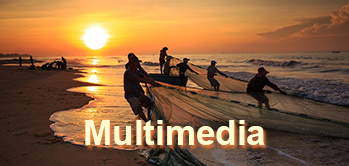 multimedia