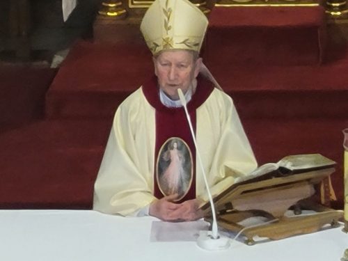 Zdjęcie 43 / 44