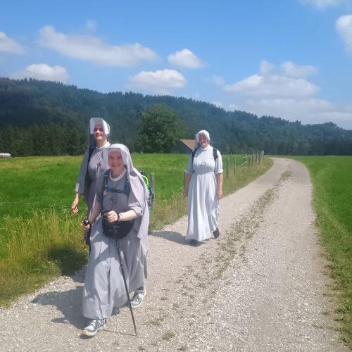 Zdjęcie 25 / 44