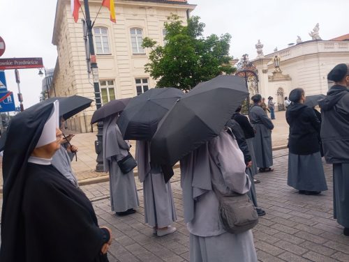 Zdjęcie 7 / 18