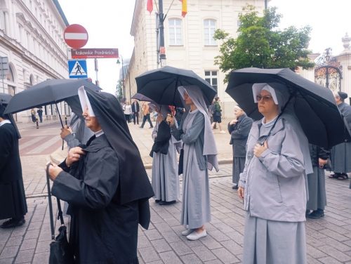 Zdjęcie 8 / 18
