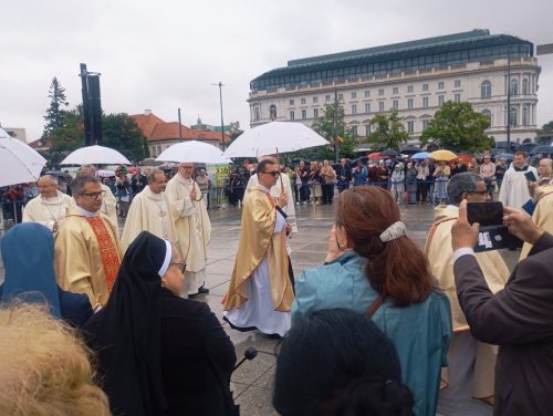 Zdjęcie 16 / 18