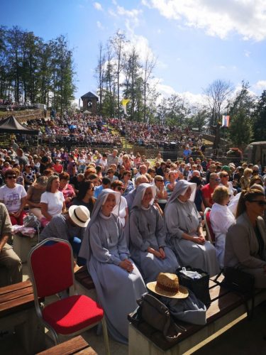 Zdjęcie 9 / 16
