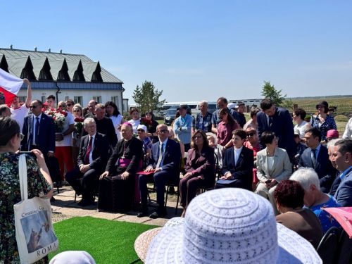 Zdjęcie 4 / 14