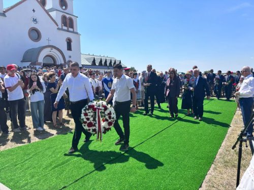 Zdjęcie 5 / 14
