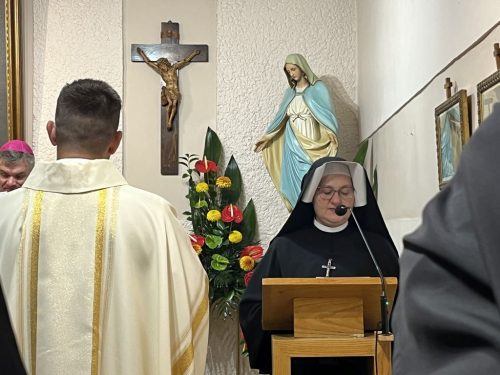 Zdjęcie 3 / 12