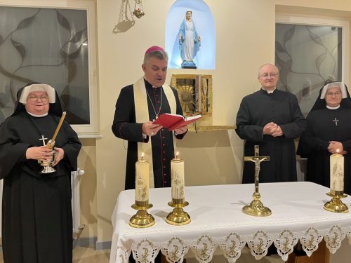 Zdjęcie 9 / 12