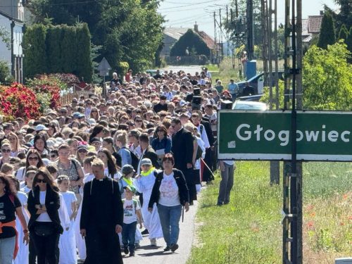 Zdjęcie 22 / 42
