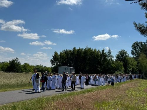 Zdjęcie 23 / 42