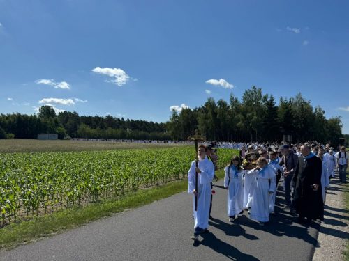 Zdjęcie 25 / 42