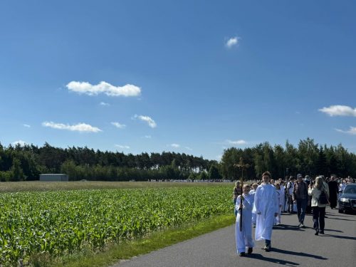 Zdjęcie 26 / 42
