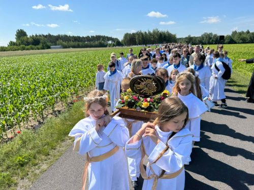 Zdjęcie 28 / 42