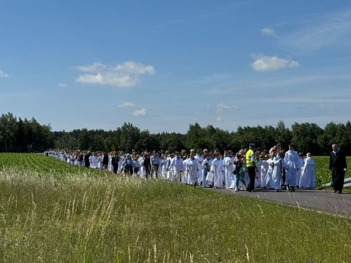 Zdjęcie 27 / 42