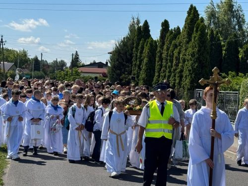 Zdjęcie 33 / 42