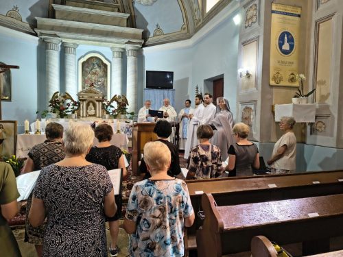 Zdjęcie 5 / 18