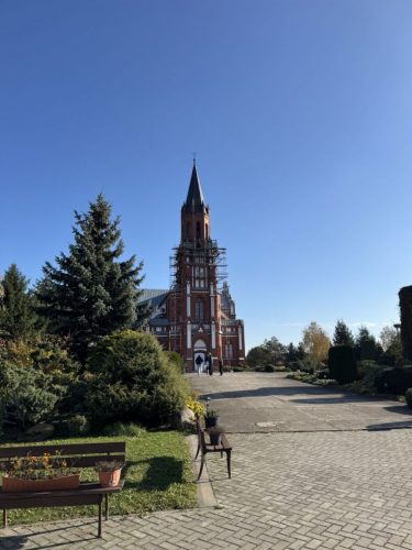 Zdjęcie 7 / 13