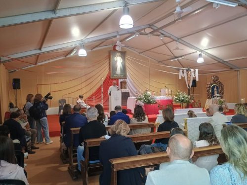 Zdjęcie 3 / 20