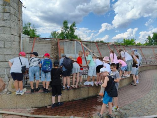 Zdjęcie 15 / 40