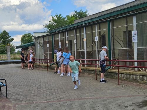 Zdjęcie 26 / 40