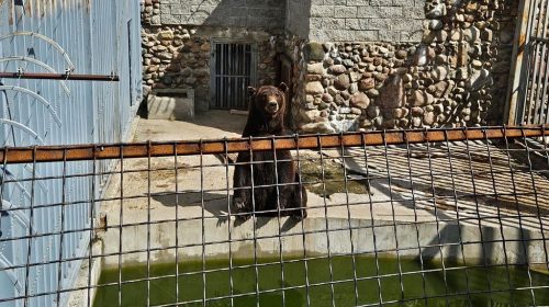 Zdjęcie 30 / 40