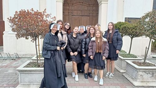 Zdjęcie 3 / 36