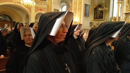 Zdjęcie 12 / 36