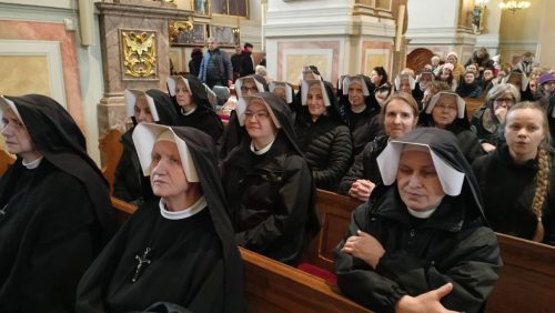 Zdjęcie 25 / 36