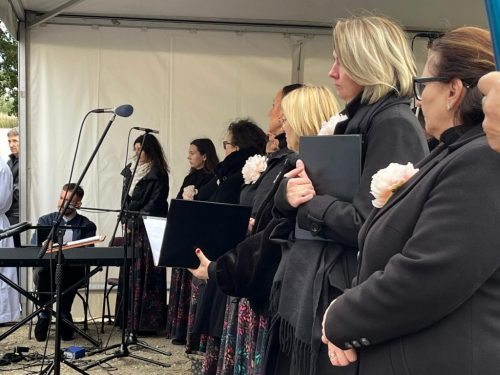 Zdjęcie 11 / 26