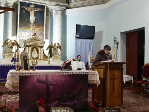 Zdjęcie 3 / 12