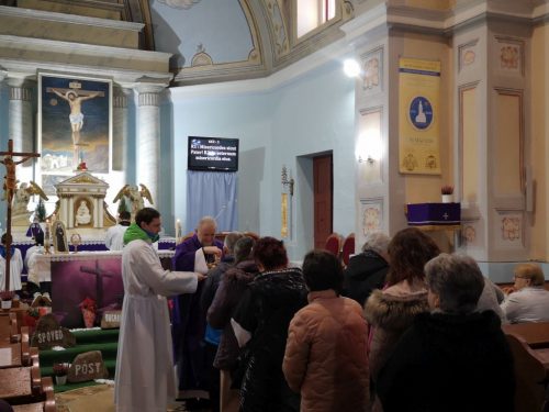 Zdjęcie 10 / 12