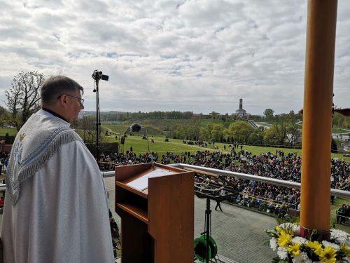 Zdjęcie 5 / 42