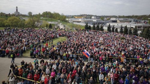 Zdjęcie 15 / 42