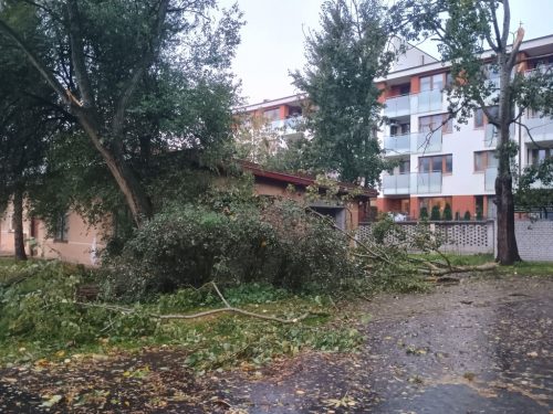Zdjęcie 6 / 28