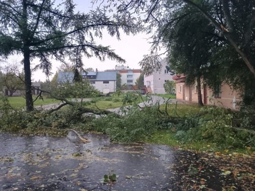 Zdjęcie 8 / 28