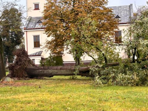 Zdjęcie 22 / 28