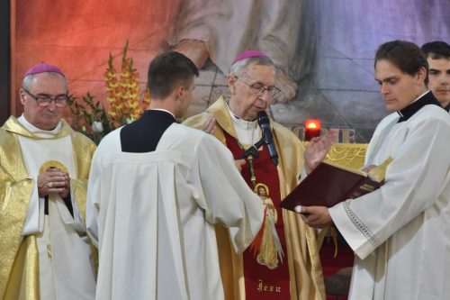 Zdjęcie 13 / 38