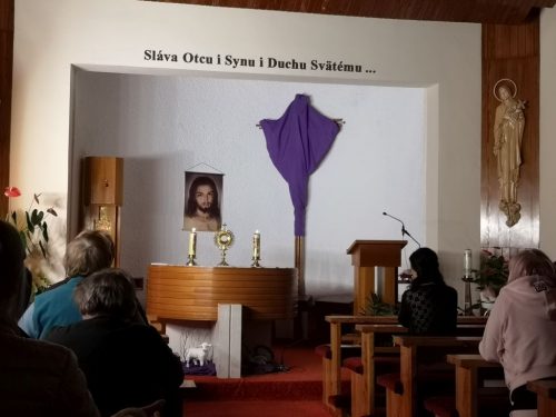 Zdjęcie 14 / 28