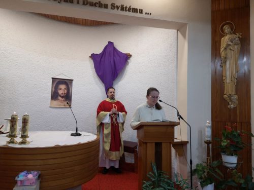 Zdjęcie 19 / 28