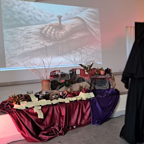 Zdjęcie 4 / 14