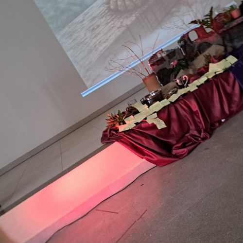 Zdjęcie 3 / 14