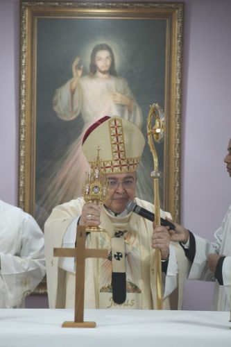Zdjęcie 14 / 16