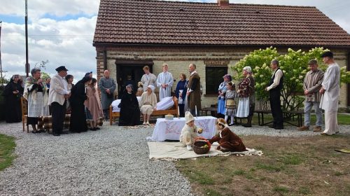 Zdjęcie 8 / 24
