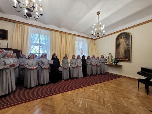 Zdjęcie 3 / 44