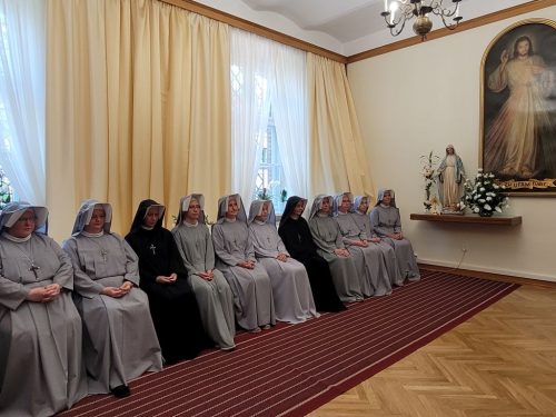Zdjęcie 5 / 44