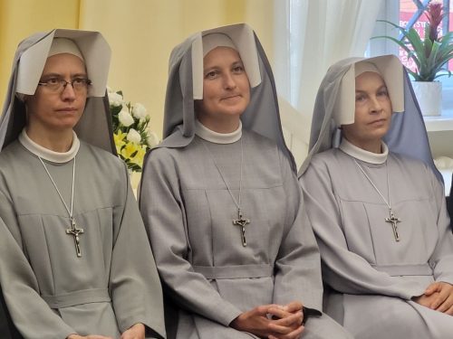 Zdjęcie 6 / 44