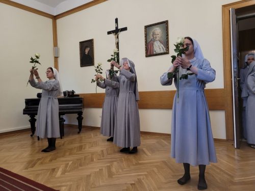 Zdjęcie 9 / 44