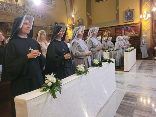 Zdjęcie 21 / 44