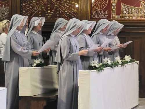 Zdjęcie 28 / 44