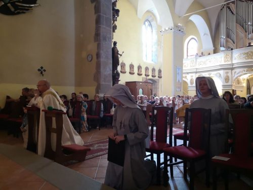 Zdjęcie 4 / 8